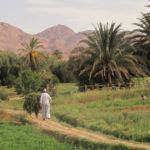 Oasis au Maroc